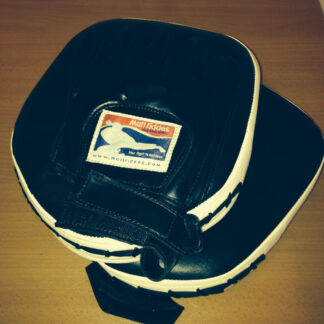 Matt Fiddes Focus Handmitts (pair)